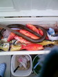 080413_174028.JPG