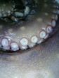 080421_145003.JPG