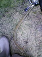 100203_163618.JPG